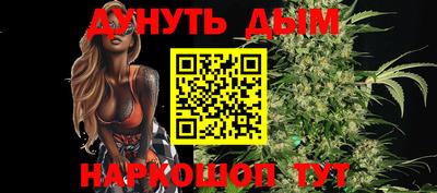 шишки Лесосибирск