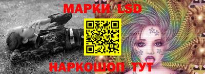 крисы Кулебаки