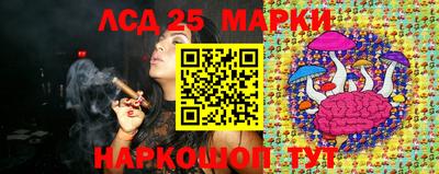 крисы Кулебаки
