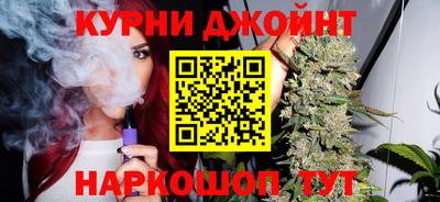 крисы Кулебаки