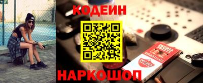 крисы Кулебаки