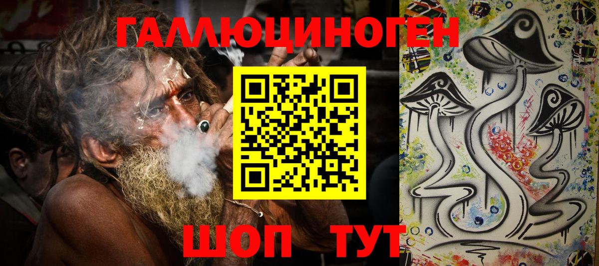 Галлюциногенные грибы Psilocybe Ишим