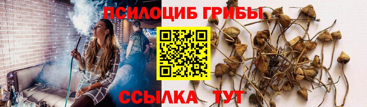 Ишим  Галлюциногенные грибы Psilocybine cubensis  Галлюциногенные грибы GOLDEN TEACHER  Вход с VPN 